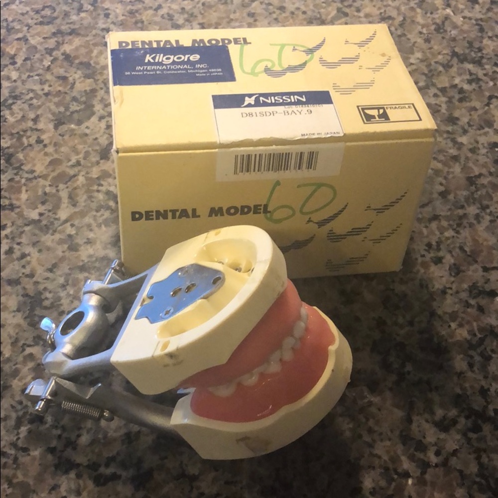 Kilgore Typodont Pediatric Baylor Dentistry NEW